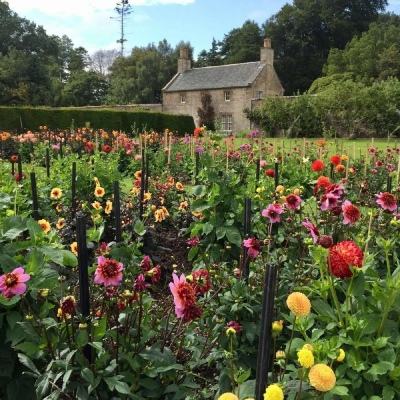 4949澳门免费资料大全app下载