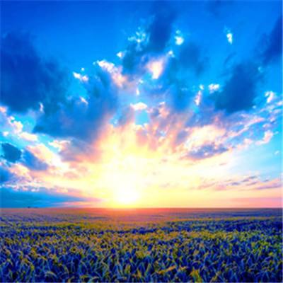 极速百家乐下载