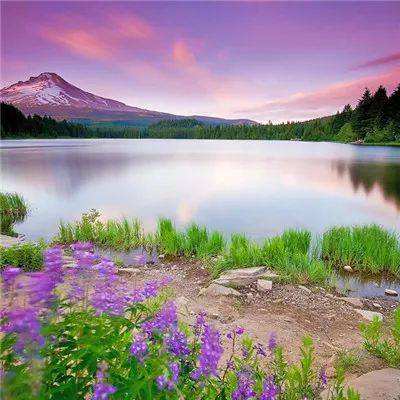 海星体育app下载ios